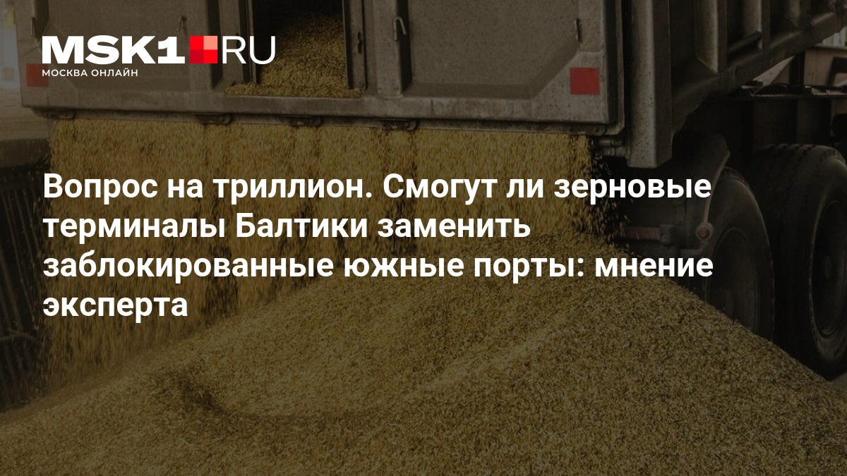 Зерновые терминалы Балтики не смогут заменить заблокированные порты юга России