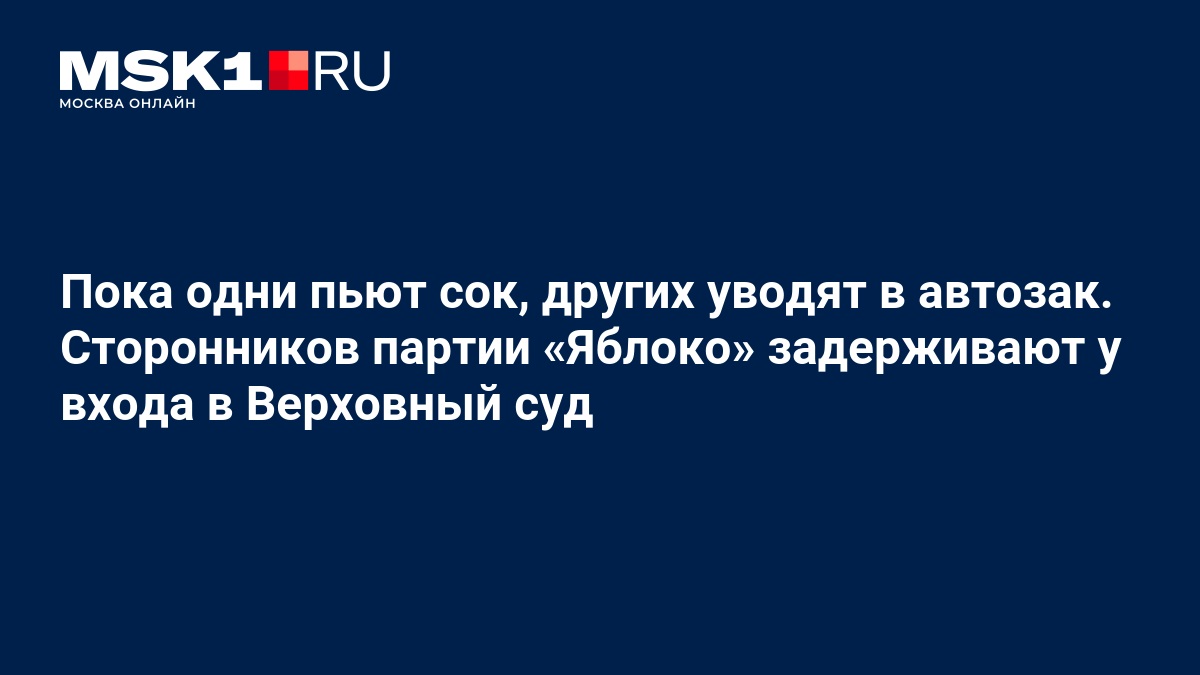 У Верховного суда задержали более 30 сторонников «Яблока» во время рассмотрения жалобы партии